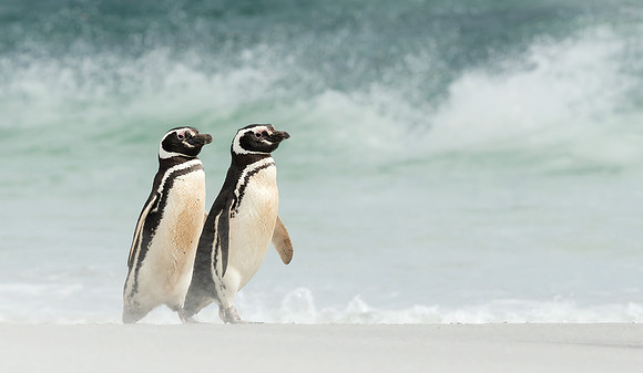 Romantic Walk