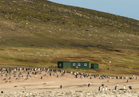 Our Base on Saunders Island