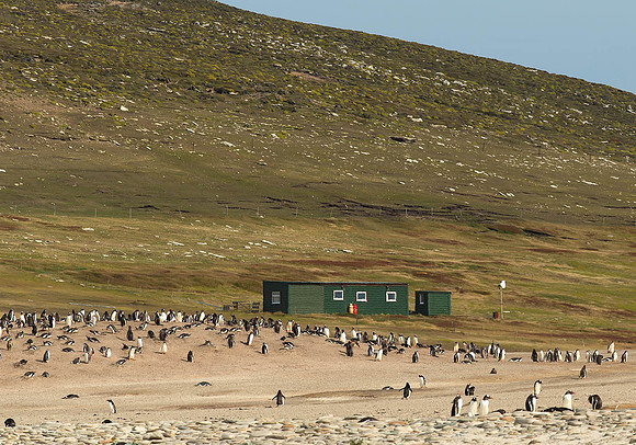 Our Base on Saunders Island