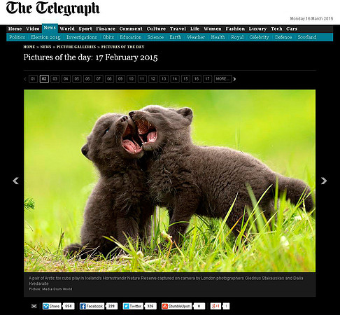 Picture of the Day in "The Telegraph Online"