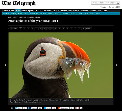 'The Telegraph Animal photos of the year 2014'