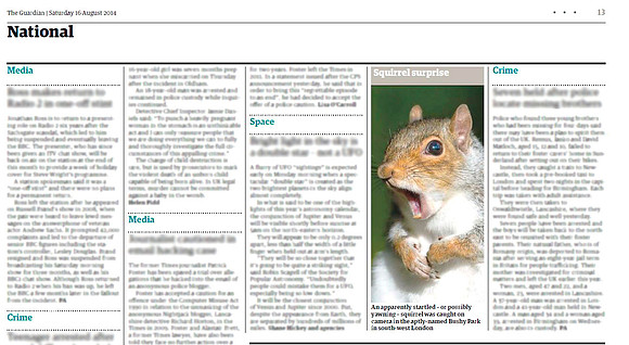 Grey Squirrel in "The Guardian" newspaper