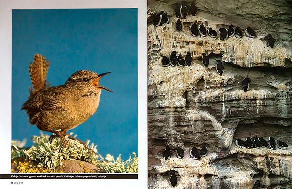 Shetland islands in Lithuanian magazine "GEO Lietuva" (Part 2)