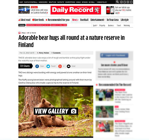 Bear Cubs in "Daily Record Online"
