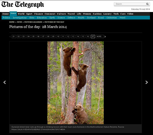 Picture of the Day in "The Telegraph Online"