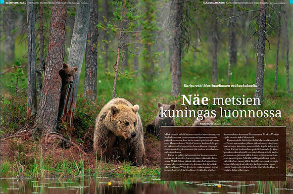 Bears in Finnish magazine 'Matkailuopas Matkamies' (Part 1)