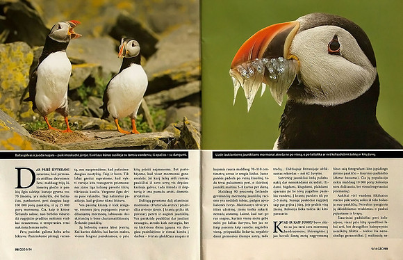 Shetland islands  in Lithuanian magazine "GEO Lietuva" (Part 3)