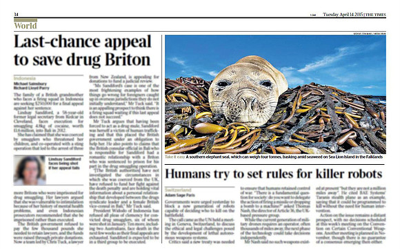 Southern Elephant Seal pup in 'The Times' newspaper