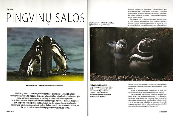 Article about penguins in Lithuanian magazine "GEO Lietuva" (Part 1)