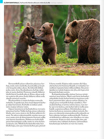 Bears in Finnish magazine 'Matkailuopas Matkamies' (Part 2)