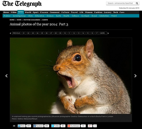Picture of the Day in "The Telegraph Online"