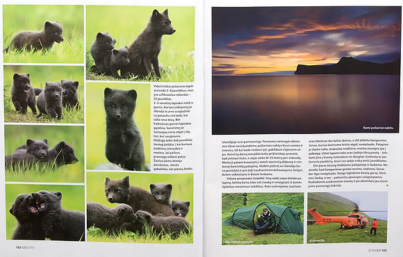 Arctic Foxes in Lithuanian magazine "GEO Lietuva" (Part 4)