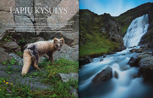 Arctic Foxes  in Lithuanian magazine "GEO Lietuva" (Part 1)