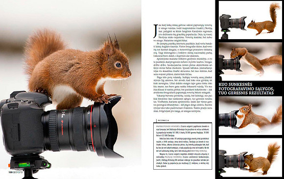 Red Squirrels in Lithuanian magazine "GEO Lietuva" (Part 2)