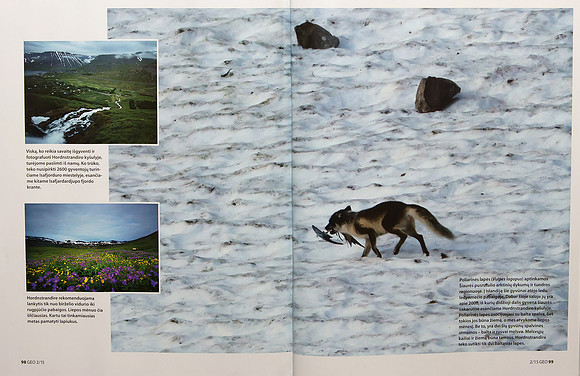 Arctic Foxes in Lithuanian magazine "GEO Lietuva" (Part 2)