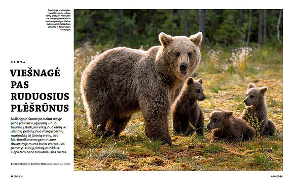 Brown Bears in Lithuanian magazine "GEO Lietuva" (Part 1)