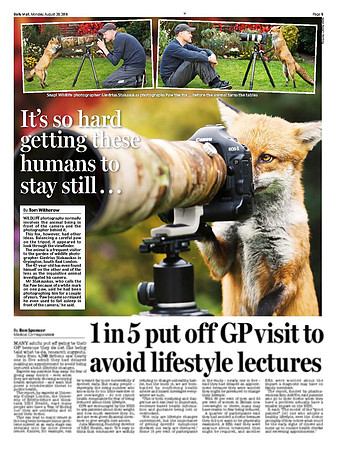 Fox the Photographer in 'Daily Mail'