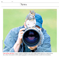 Squirrel on Camera published in Daily Telegraph newspaper