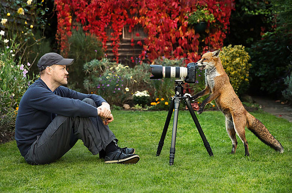 Fox the Photographer