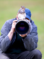 Bold Squirrel on a Camera
